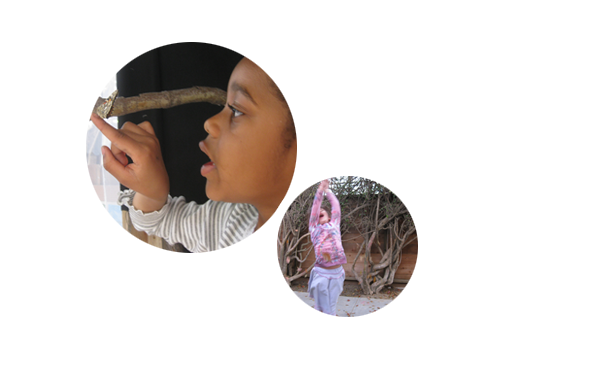 Call 310-399-3120 to contact someone at First Years preschool in Venice, CA